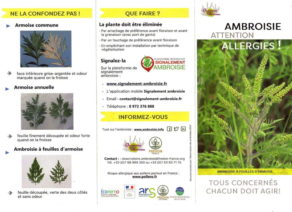 Flyer ambroisie 2