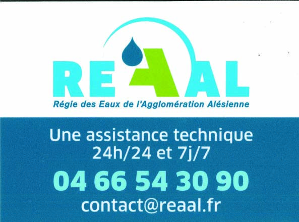 flyer REAAL