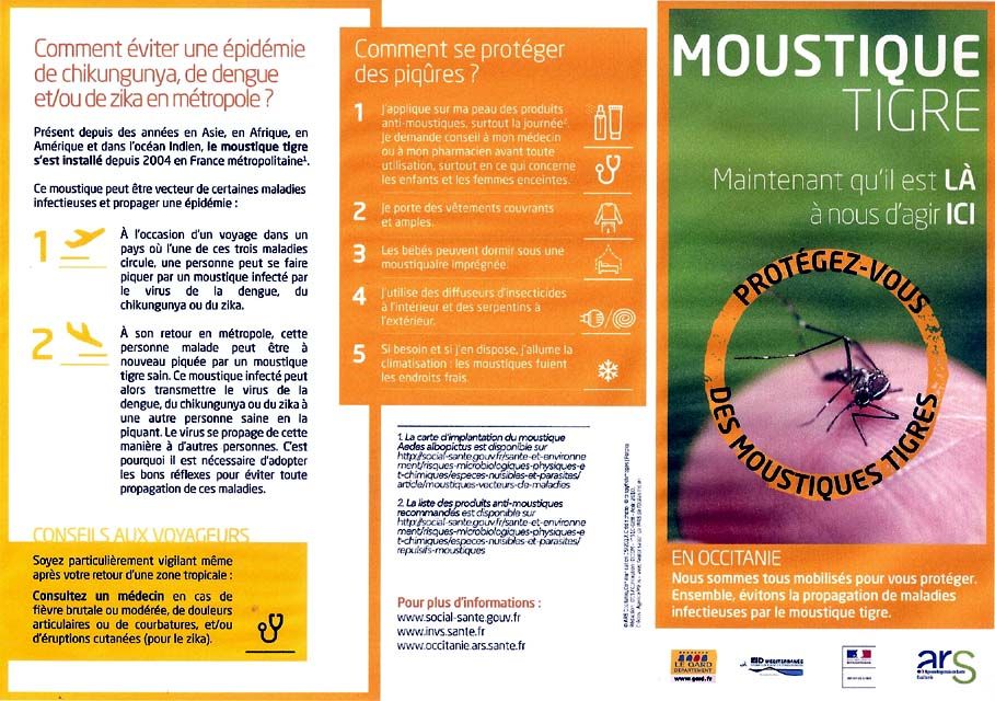 Flyer moustique tigre