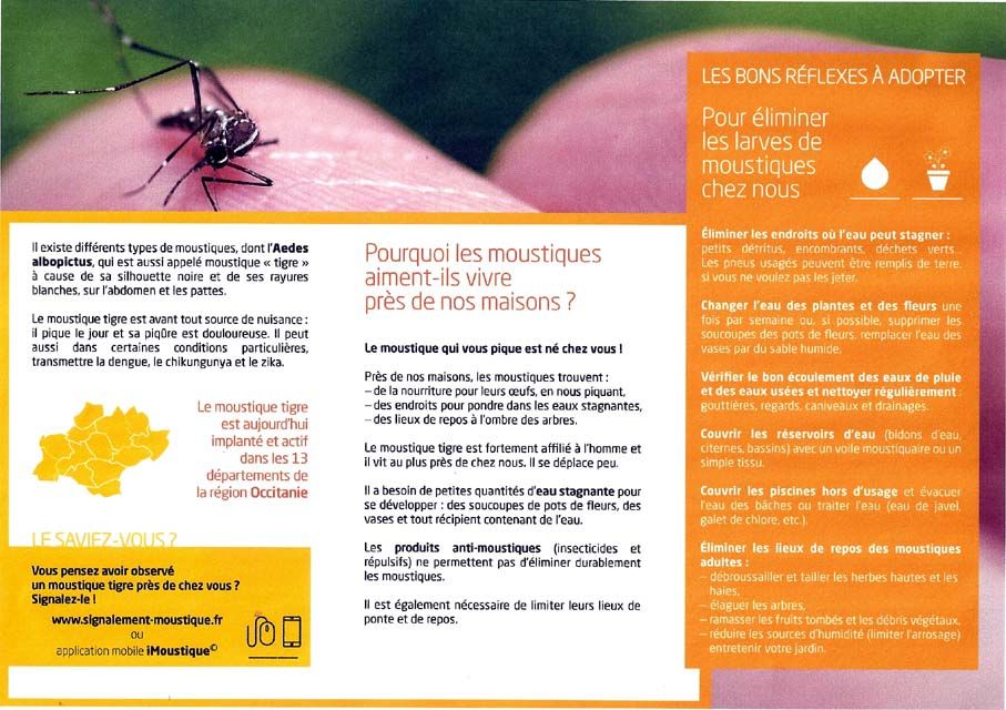 Flyer moustique tigre 2